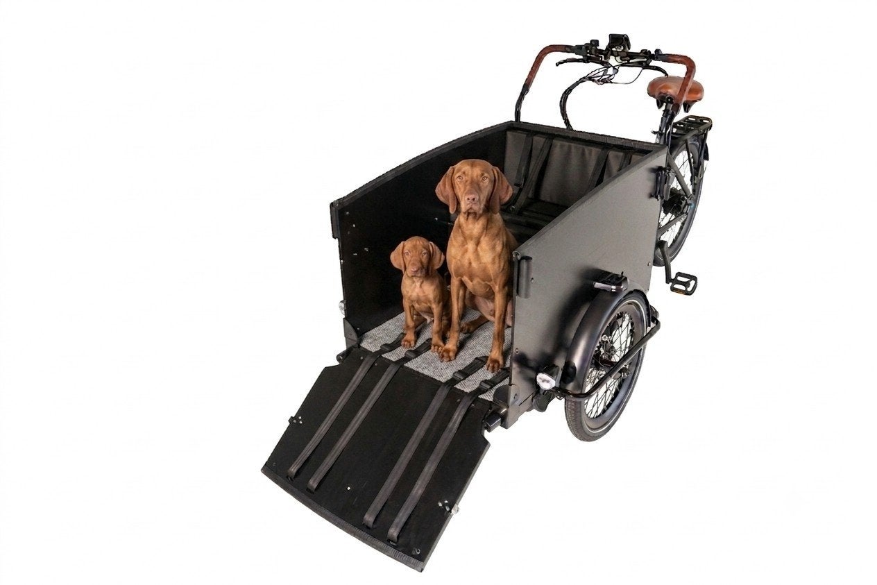 NEW:: Elektrische bakfiets met hondeluik en plek voor 2 kind