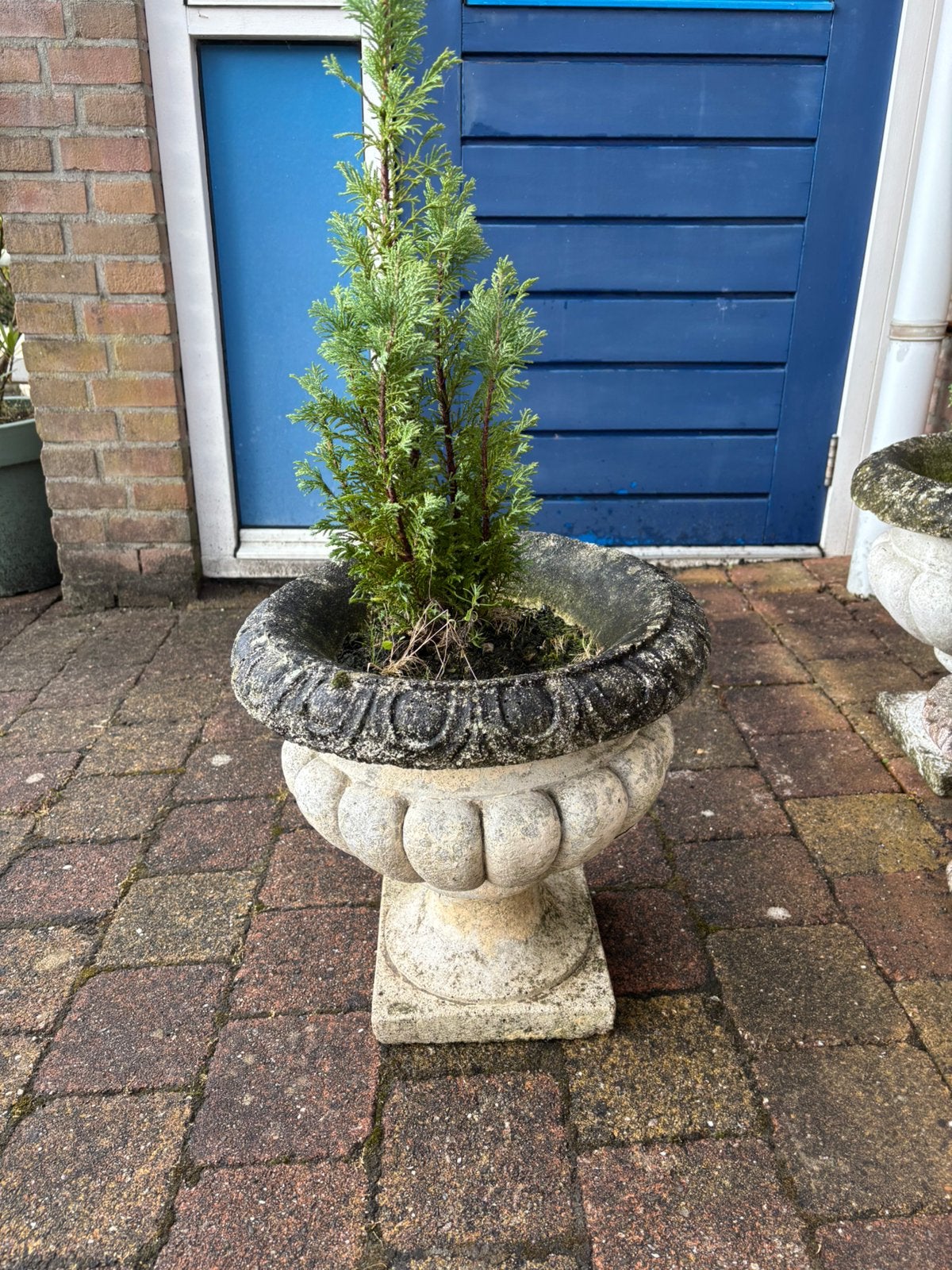 2 Decoratieve stenen/ betonnen tuinschalen op voet, Ophalen, Gebruikt, Minder dan 60 cm, Rond