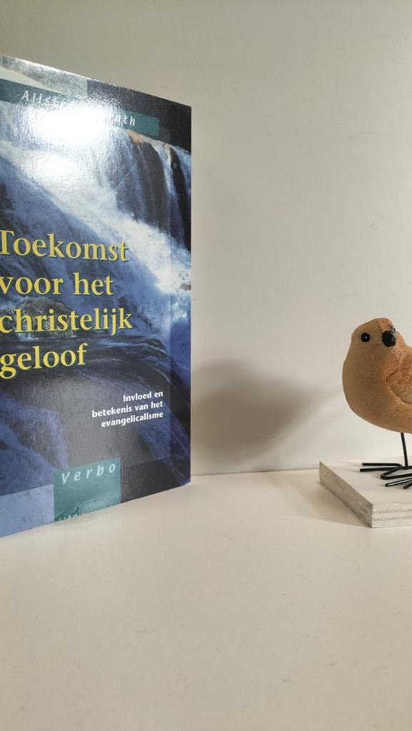 McGrath, Alister; Toekomst voor het christelijk geloof, Ophalen of Verzenden, Gelezen, Christendom | Protestants