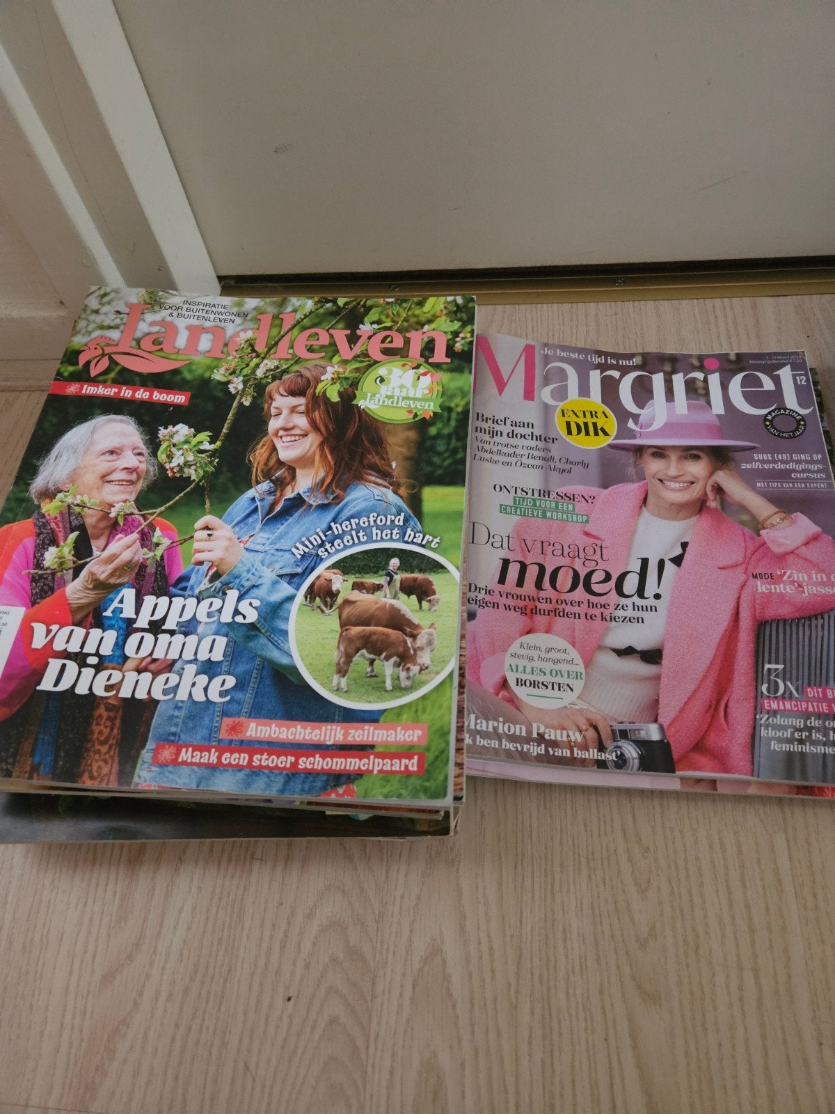 diverse tijdschriften, Boeken, Ophalen, Gelezen, Damesbladen