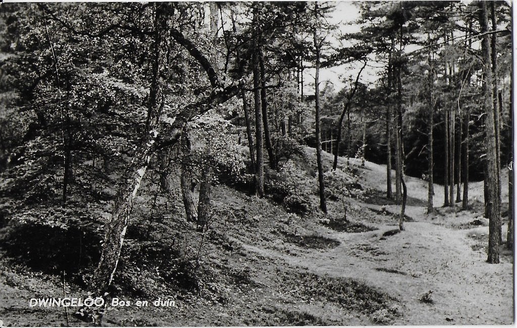 Pa1000 Oude gelopen Ansichtkaart Dwingeloo Bos en Duin 1962, Ophalen of Verzenden, 1960 tot 1980, Gelopen