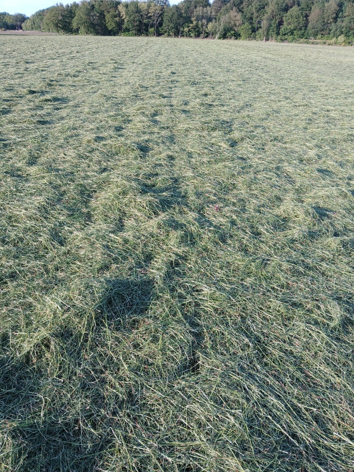 voordroog pakken, Dieren en Toebehoren, Stalling en Weidegang