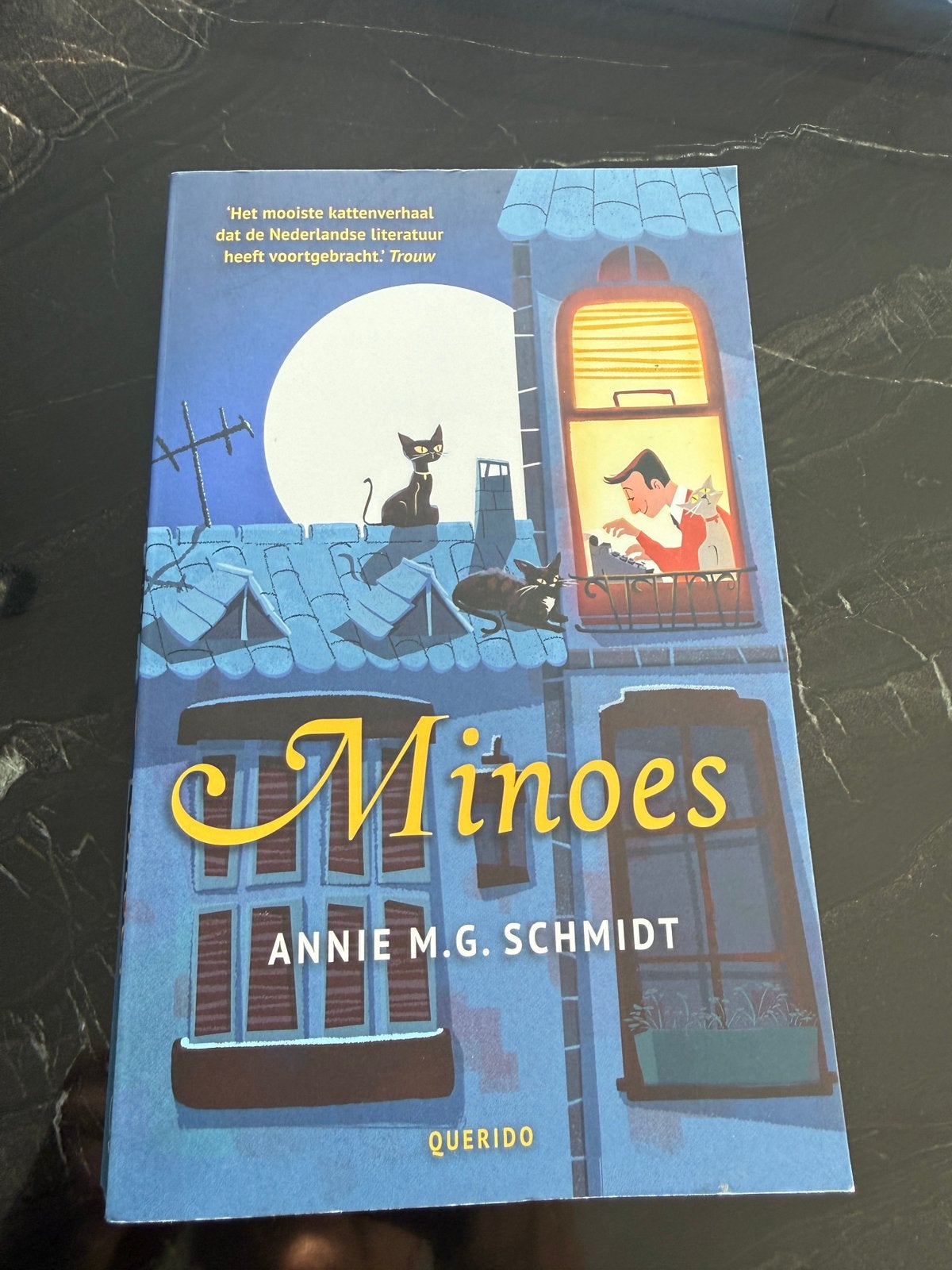 Minoes kinderboek, Boeken, Ophalen of Verzenden, Zo goed als nieuw