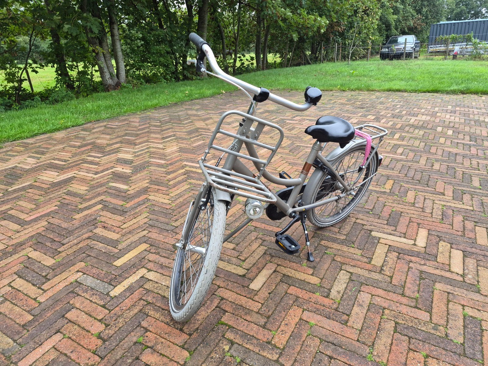 Alpina meisjesfiets 20 inch, Ophalen, Terugtraprem, Gebruikt, Alpine