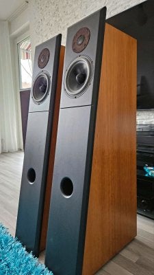 Audio Physic Tempo, Stereo speakers, Gebruikt, 60 tot 120 watt, Ophalen