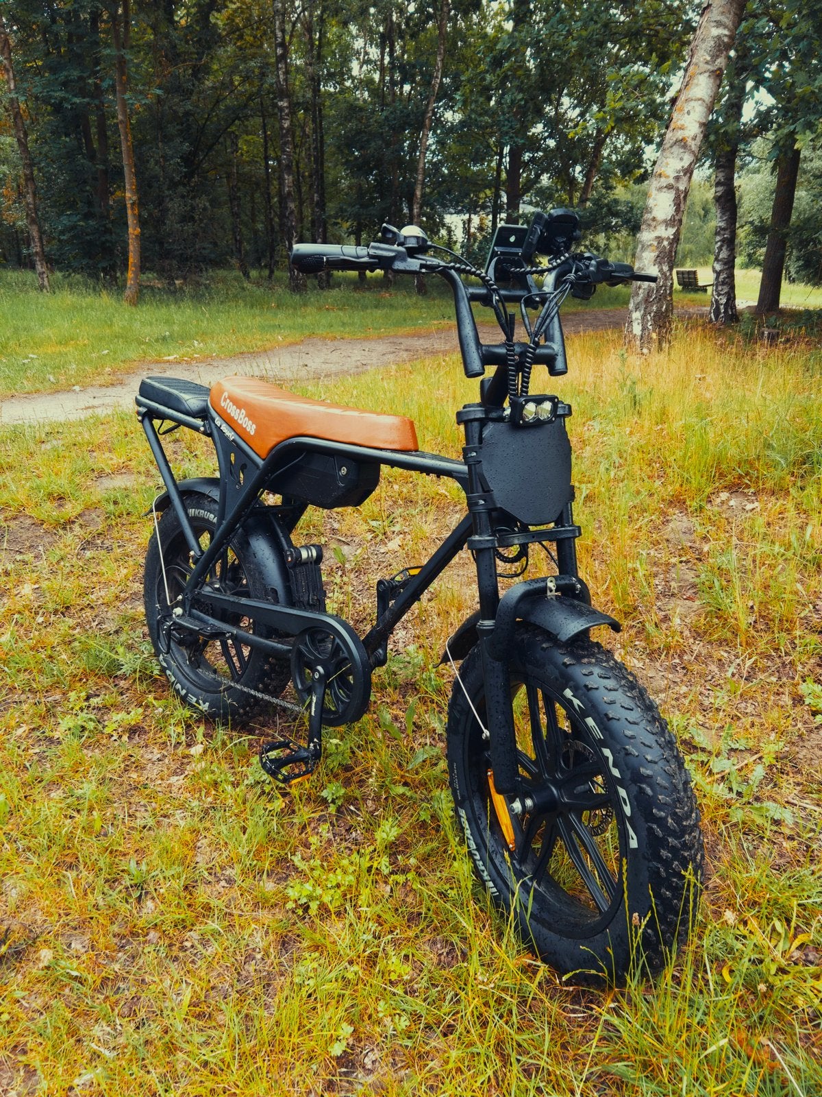 Custom v8 fatbike, Ophalen, Zo goed als nieuw, 50 km per accu of meer, Overige merken