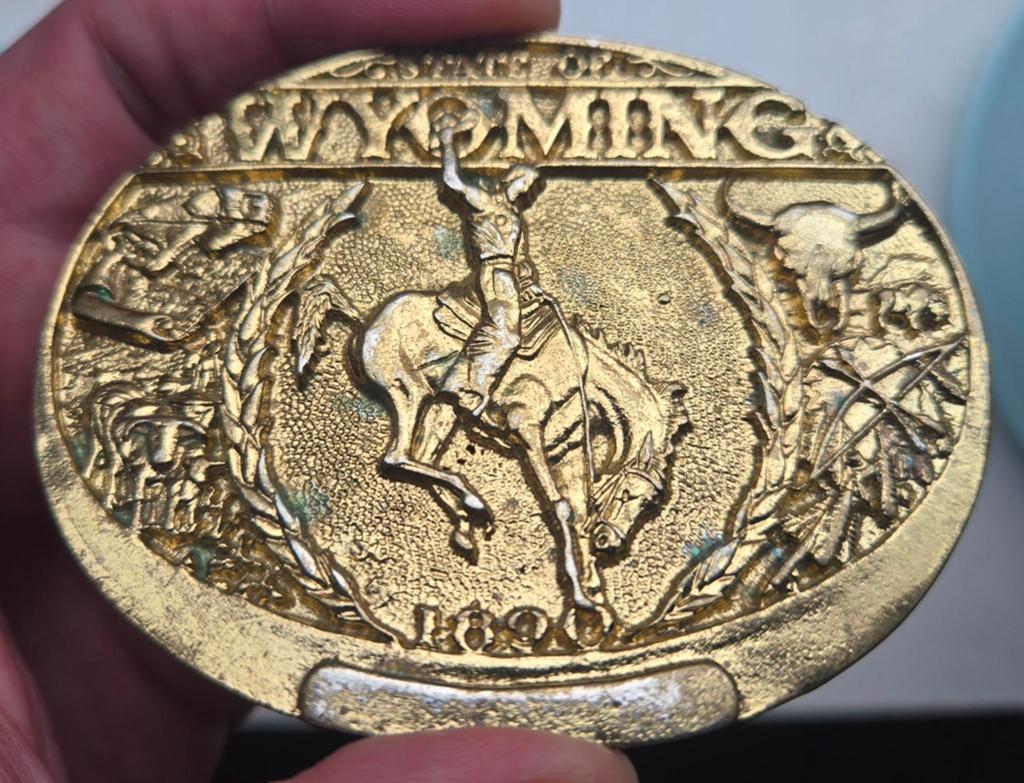 Vintage Brass Buckle "State of Wyoming 1890", Kleding | Heren, Riemen en Ceinturen, Losse buckle of gesp, Overige kleuren, Minder dan 95 cm