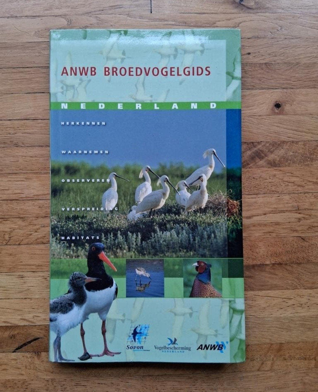 ANWB Broedvogelgids Nederland
Frans Buissink
Illustrator: Er, Ophalen of Verzenden, Zo goed als nieuw, Vogels
