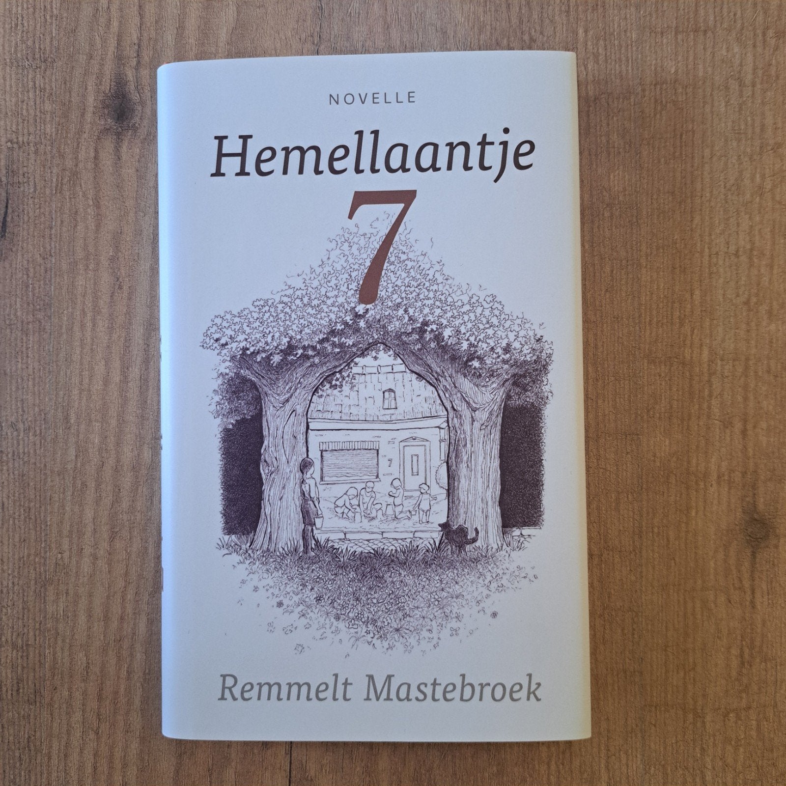 Remmelt Mastebroek - 7, Boeken, Literatuur, Ophalen of Verzenden, Zo goed als nieuw, Remmelt Mastebroek; Hans Dijkhuizen