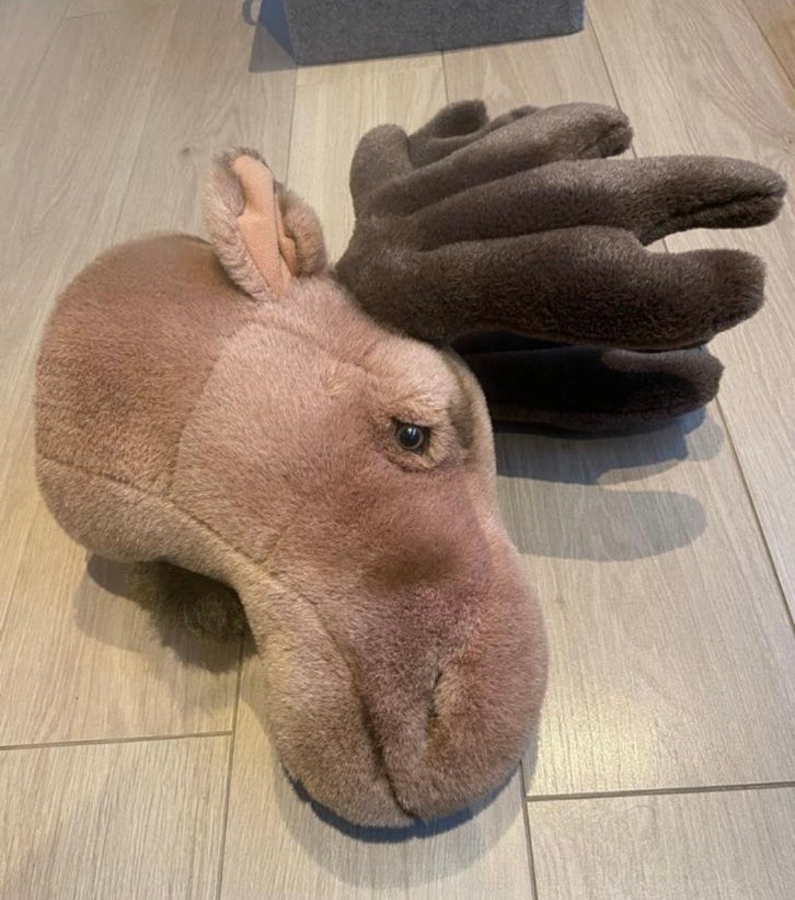 Bibib Eland Knuffelkop - Decoratieve Wanddecoratie Kinderkam, Ophalen, Overige merken, Overige typen, Middelgroot (20 tot 80 cm)