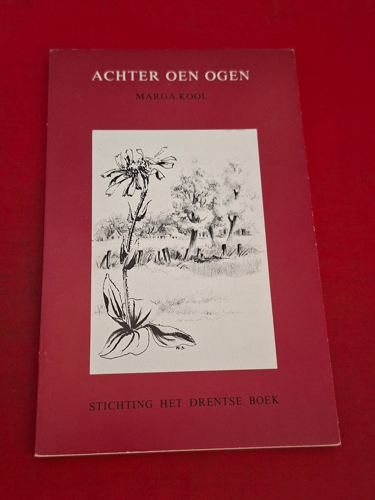 GESIGNEERD Achter oen ogen. Marga Kool. (Drents), Boeken, Ophalen of Verzenden, Gelezen