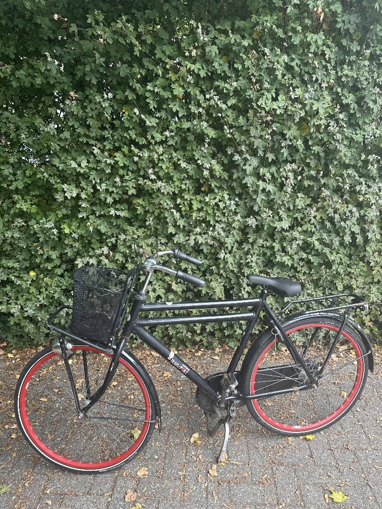 Cortina U4, Terugtraprem, Gebruikt, 57 tot 61 cm, Ophalen