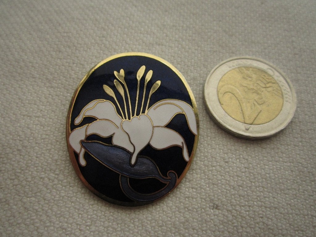 18.  Oude broche,  FISH, Sieraden, Tassen en Uiterlijk, Antieke sieraden, Ophalen, Overige materialen, Broche