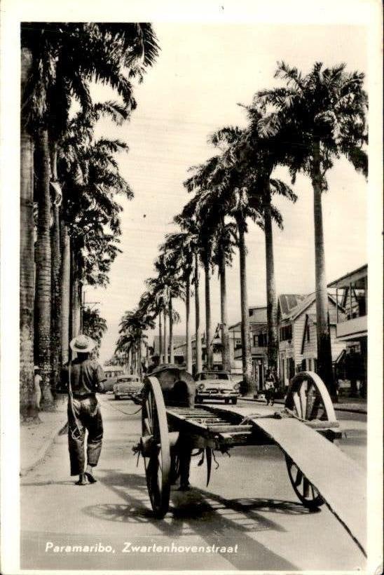 Suriname - Zwartenhovenstraat - 1950, Ophalen of Verzenden, 1940 tot 1960, Ongelopen, Noord-Holland