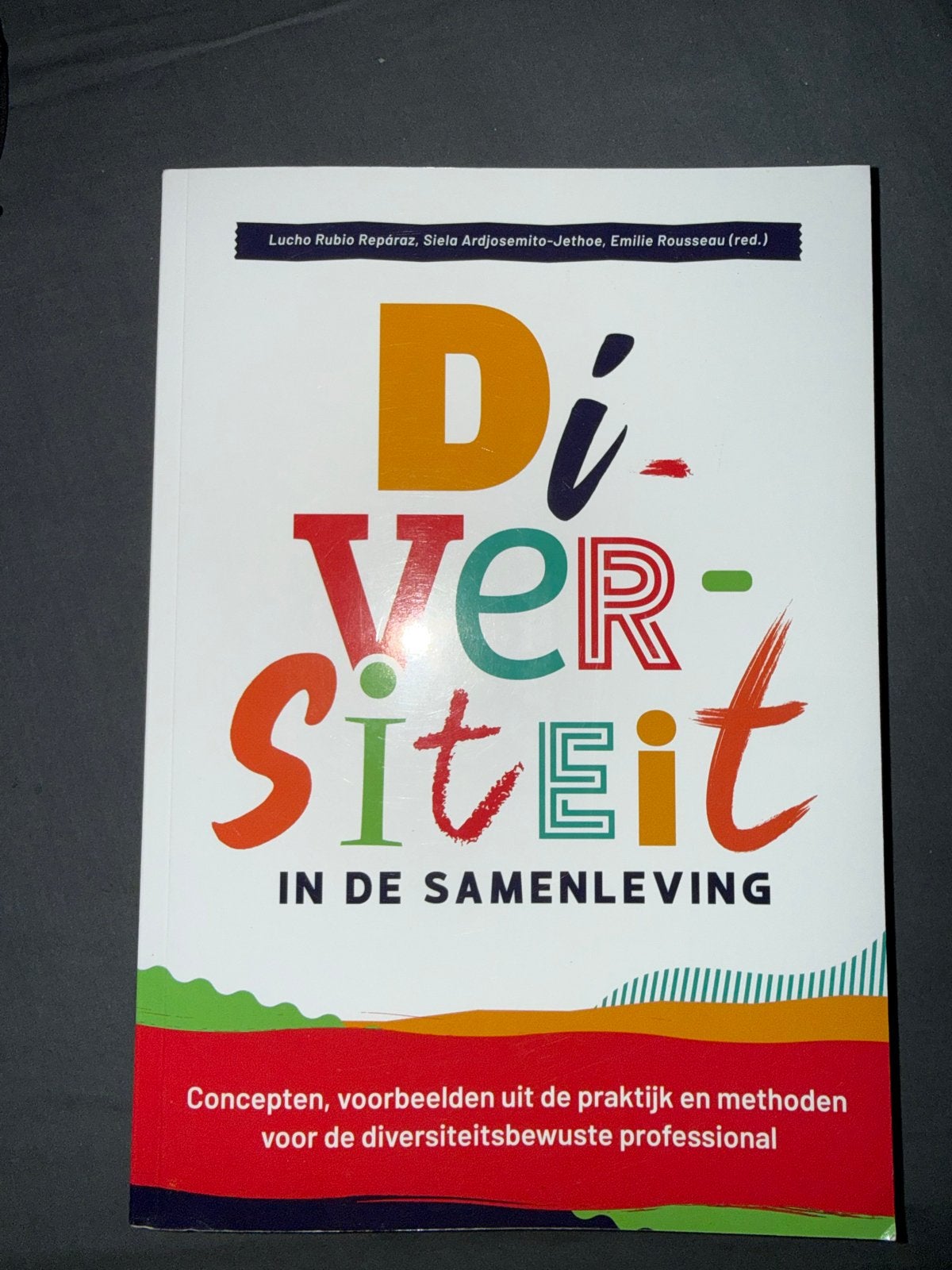Diversiteit in de Samenleving - Studieboek, Boeken, Ophalen of Verzenden, Gamma, Zo goed als nieuw, HBO