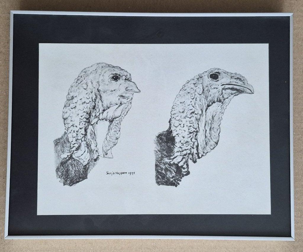 Kalkoenen – Sonja Noppen – 1975 – kopie, Ophalen of Verzenden, Tekening