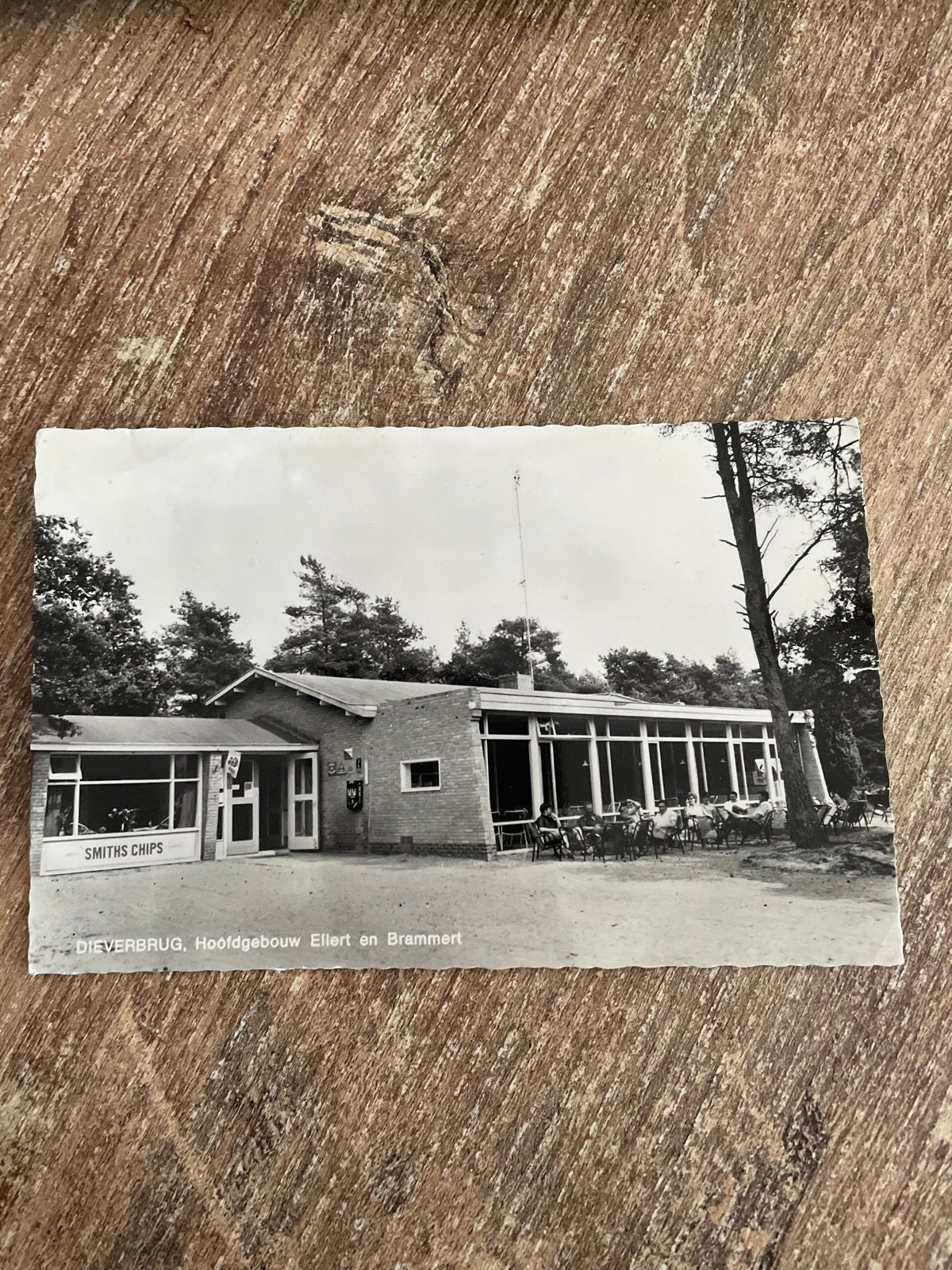 Oude ansichtkaart Dieverbrug, Hoofdgebouw Ellert en Brammert, Ophalen of Verzenden, 1960 tot 1980, Gelopen, Drenthe