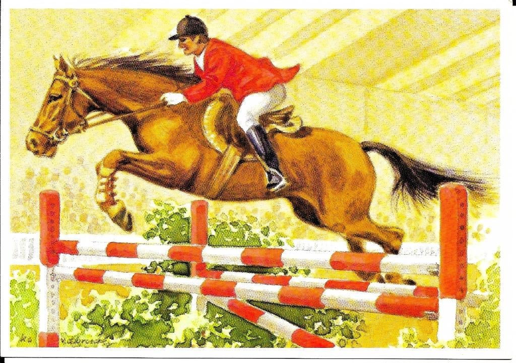 Ansichtkaart	Paardensport	Spring Concours, Verzenden, 1980 tot heden, Gelopen, Paard