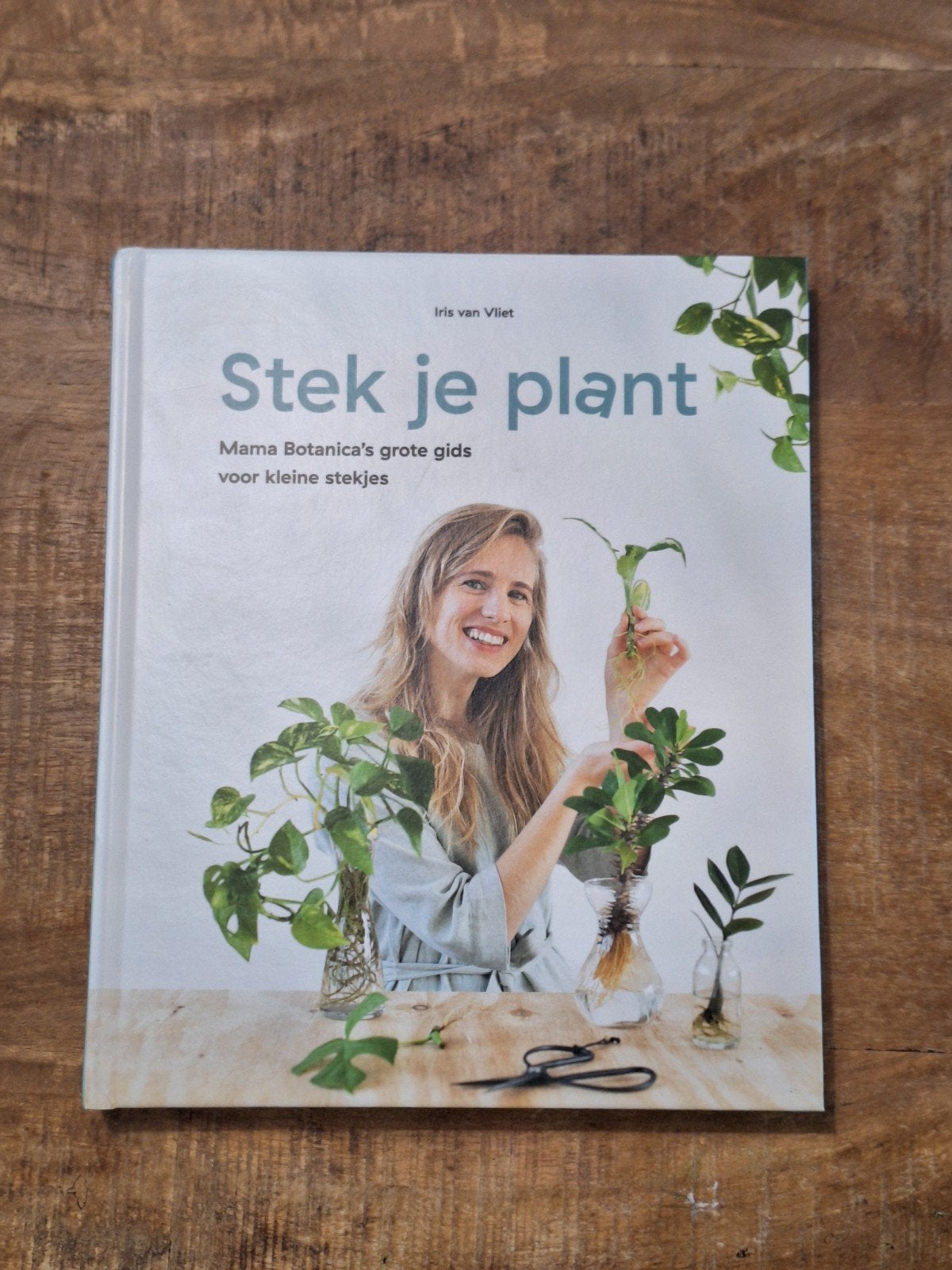 Stek je plant - Mama Botanica grote gids voor kleine stekje, Boeken, Ophalen of Verzenden, Nieuw, Iris van Vliet, Kamerplanten