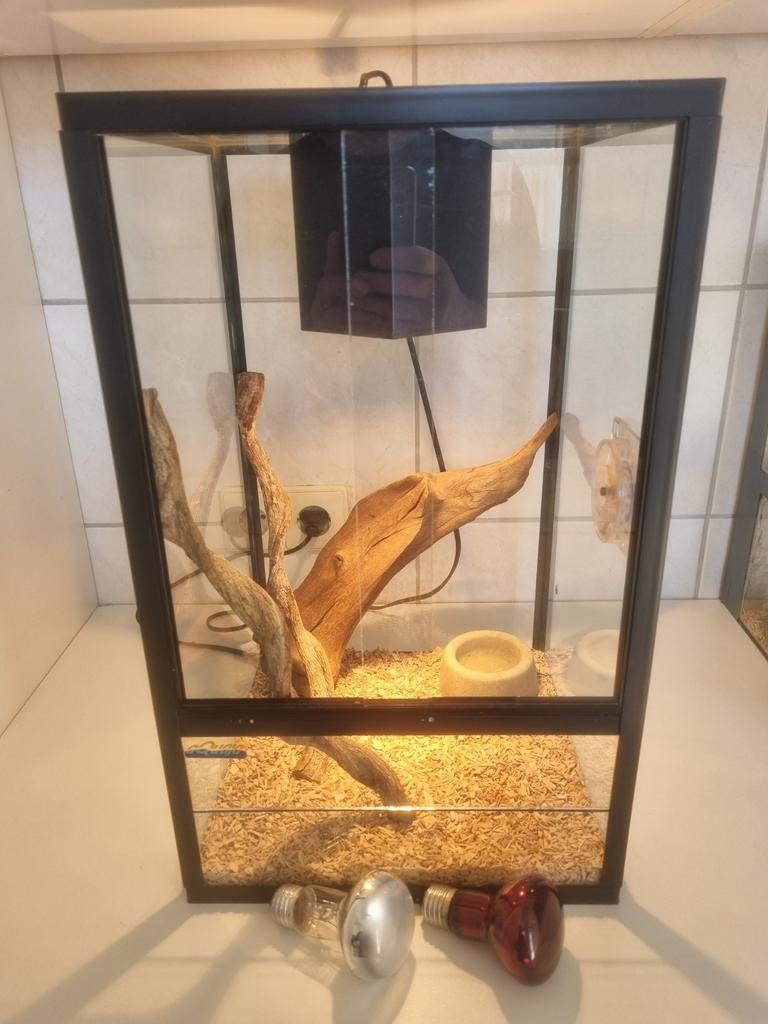 Terrarium aquaja 30x30x50, Dieren en Toebehoren, Ophalen