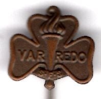 VAR REDO Sweden Boy scouts koper speldje ( F_139), Ophalen of Verzenden, Zo goed als nieuw, Transport, Speldje of Pin