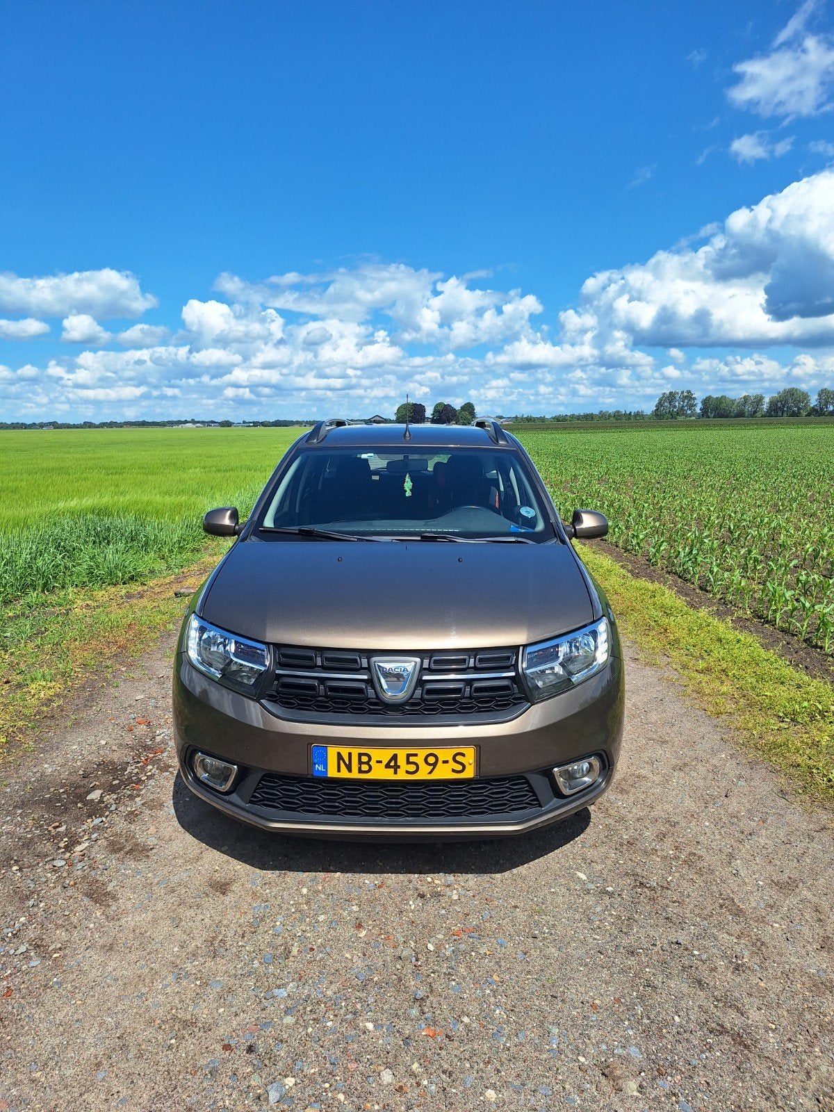 Dacia Logan MCV 0.9 Tce 90pk Bi-fuel S&S 2017 Bruin, Auto's, Dacia, Voorwielaandrijving, 898 cc, 40 €/maand, 580 kg