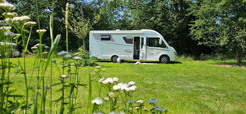 McLouis Carat 880G integraalcamper | uitstekend onderhouden, Integraal, Fiat, 7 tot 8 meter, Particulier