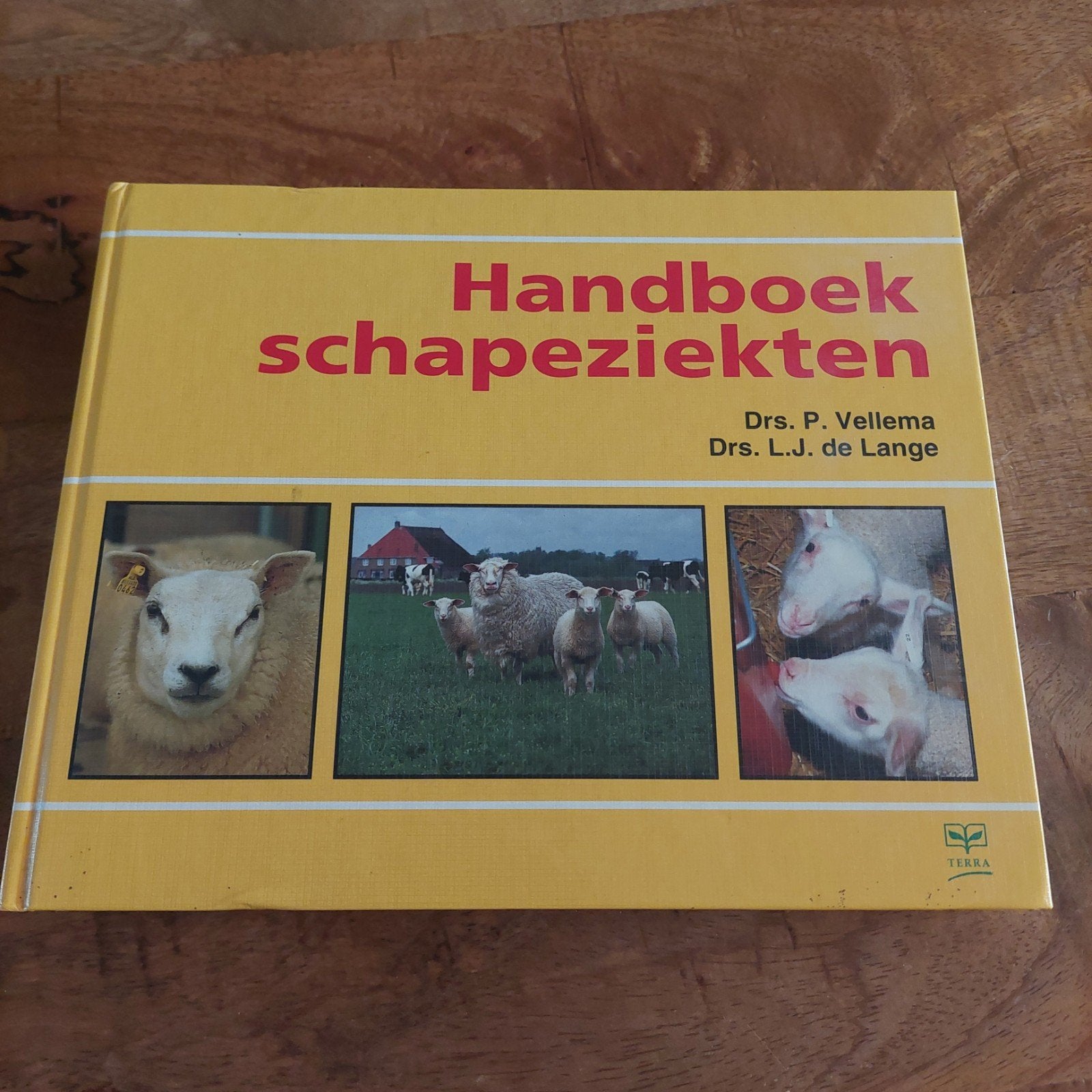 Handboek schapeziekten - Drs. P. Vellema, Drs. L.J. de Lange, Ophalen of Verzenden, Gelezen, Drs. P. Vellema, Drs. L.J. de Lange
