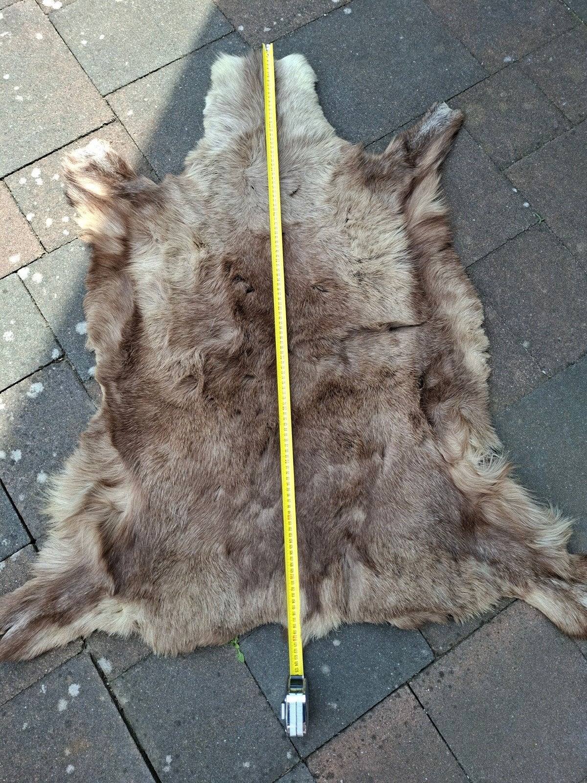 Originele rendierhuid uit Fins Lapland - Bruin/Grijs, Gebruikt, 100 tot 150 cm, Grijs, Natuurlijk, Scandinavisch, Rustiek