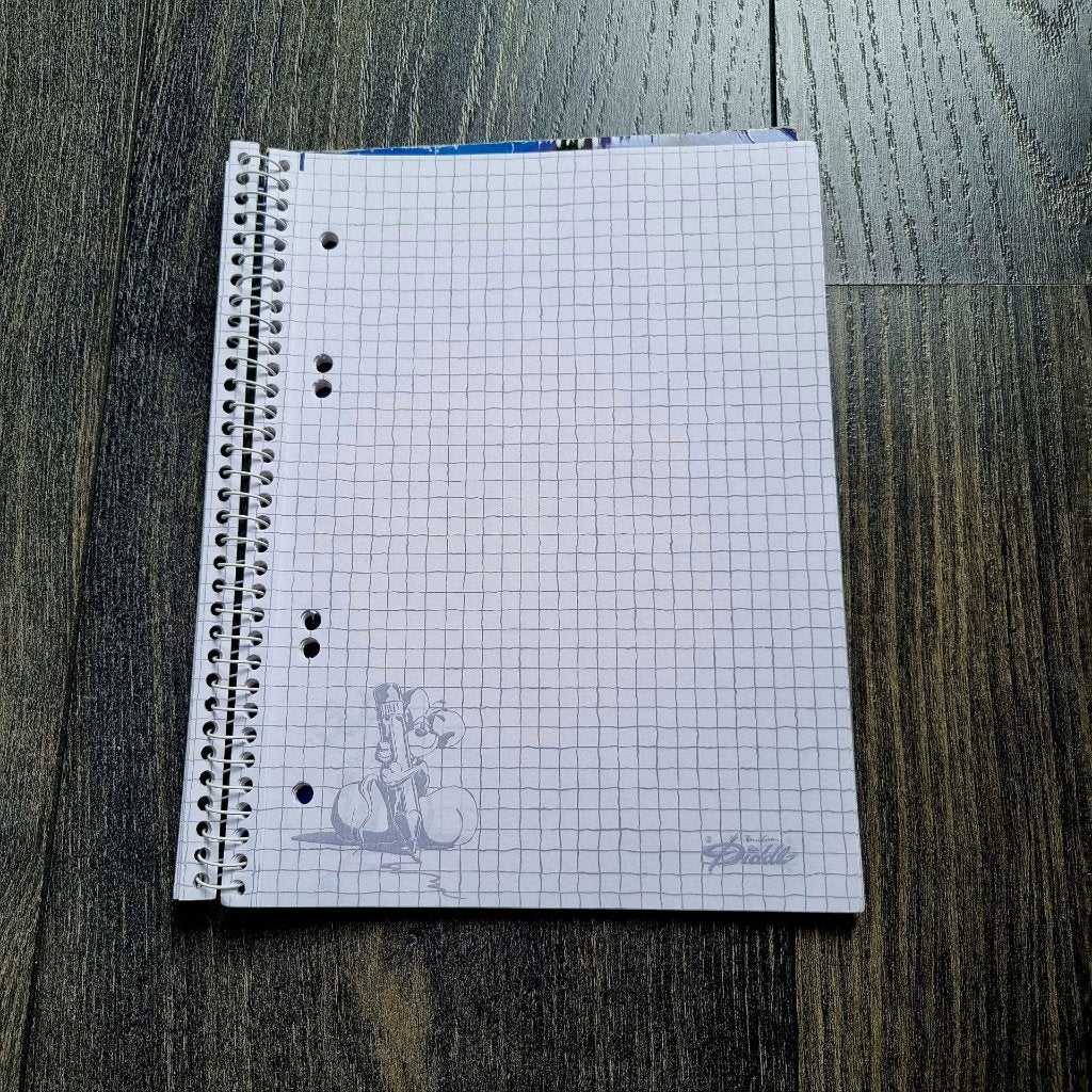 Diddl A5 hs 9, Ophalen of Verzenden, Diddl, Zo goed als nieuw, Papier, Kaart of Schrift