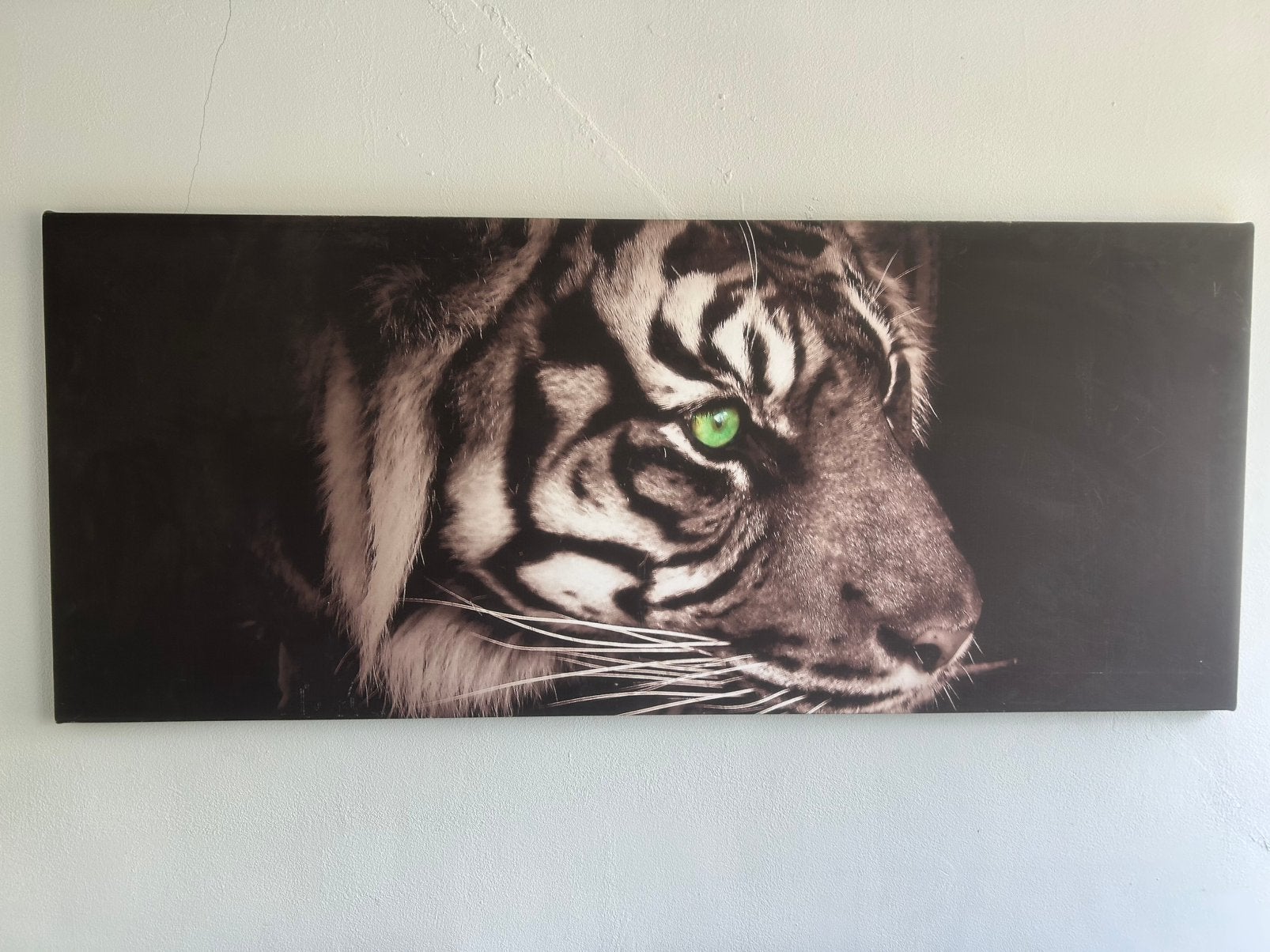 Tijger oo canvas 50x100, Antiek en Kunst, Ophalen
