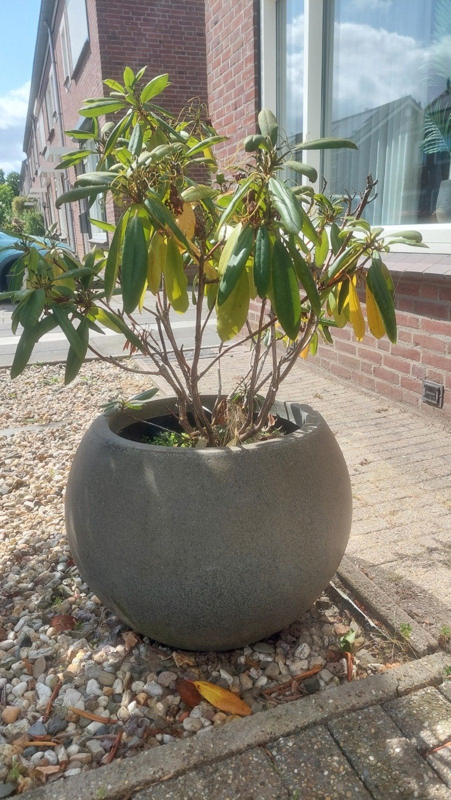 Grote ronde bloempot, diameter 50cm, hoogte 115cm, Ophalen, Kunststof, Gebruikt, 40 cm of meer