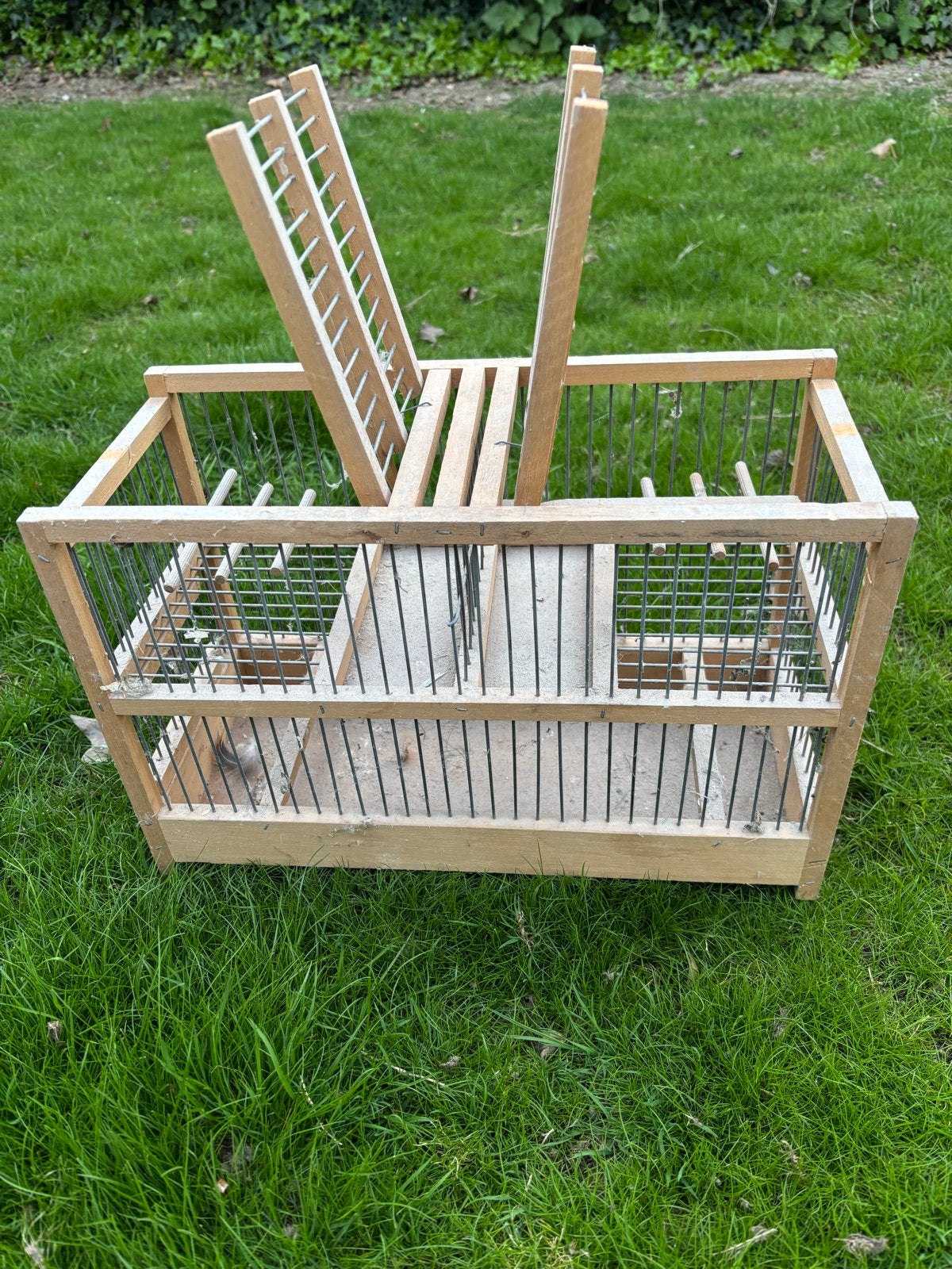 Vangkooi- klepkooi kanaries, Ophalen of Verzenden, Nieuw, Hout, Vogelkooi