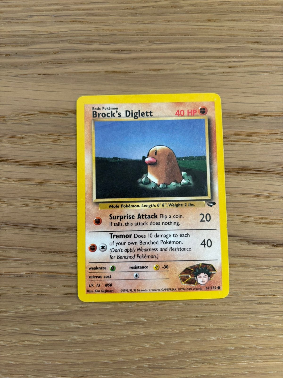 Brock Diglett, Hobby en Vrije tijd, Ophalen of Verzenden, Zo goed als nieuw
