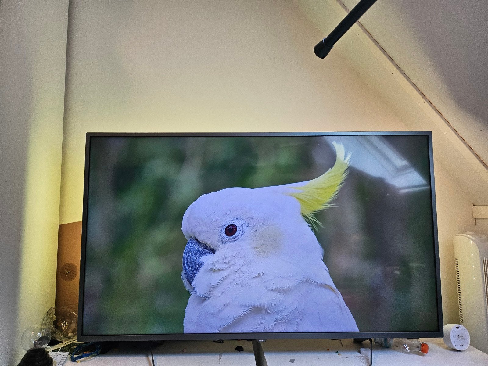 philips 4k ambilight tv 55", Ophalen, Philips, LED, 50 Hz