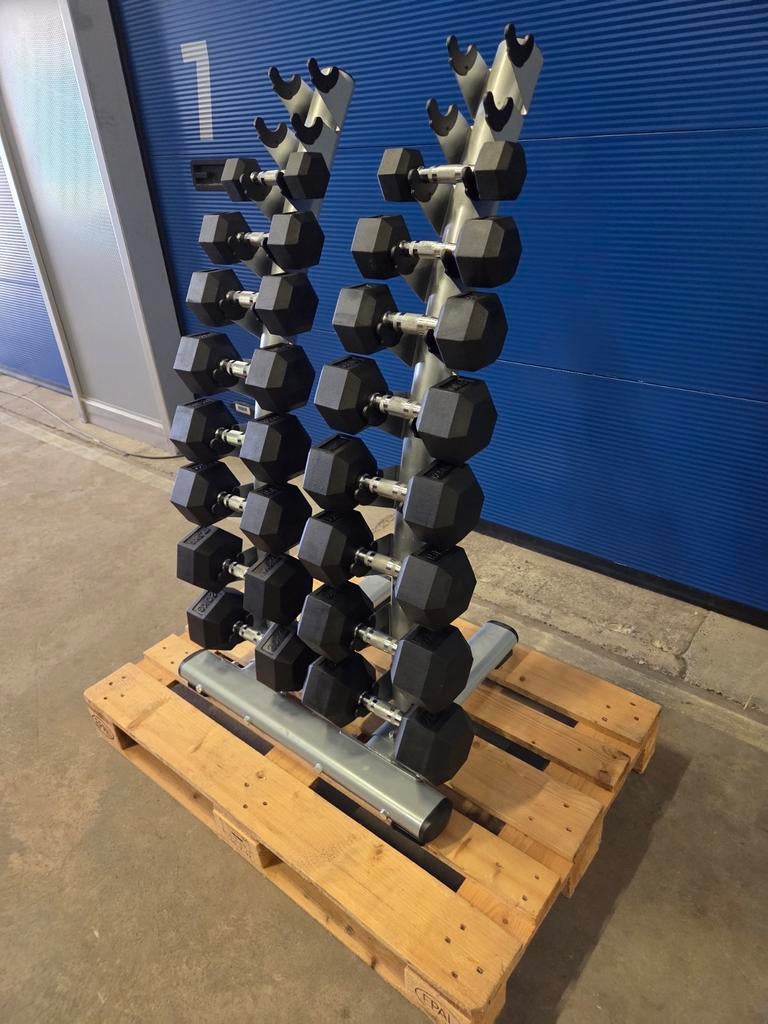 Hexagon Dumbells gewichten van 5 tot 20kg, Ophalen, Dumbbell