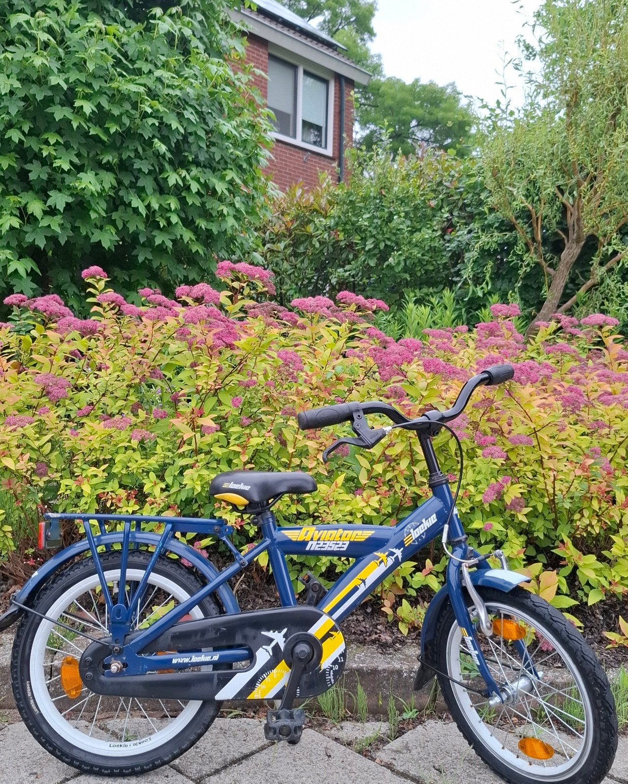 Kinderfiets Loekie 16 inch / Zijwieltjes, Ophalen, Terugtraprem, Zijwieltjes, Gebruikt