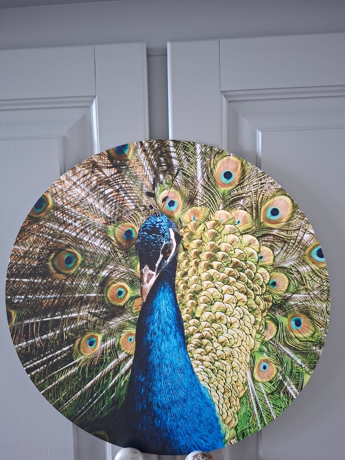 Schilderij Pauw, Ophalen of Verzenden, Zo goed als nieuw, Schilderij