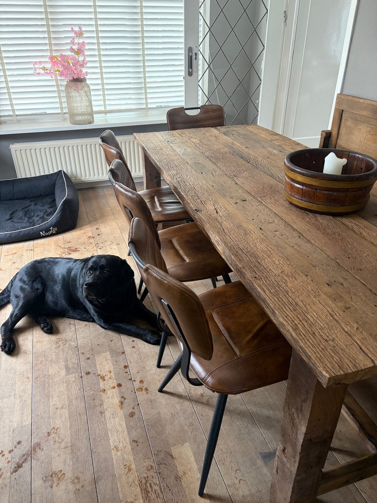 Lederen eetkamerstoelen MXSOFA - Prima Staat, Ophalen, Gebruikt, Bruin, Leer