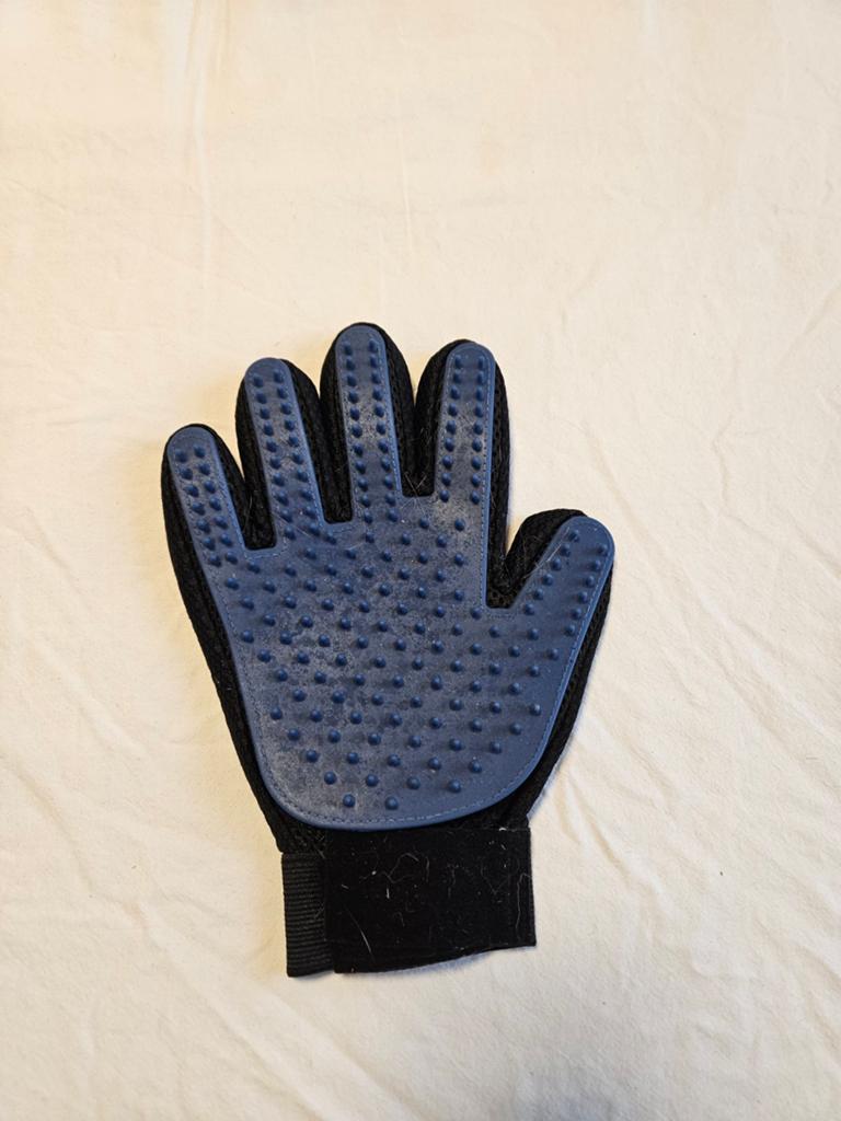 Borstel handschoen katten, Ophalen of Verzenden
