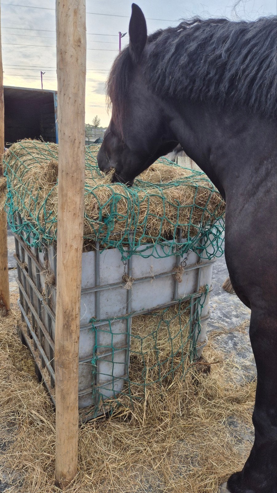 hooibak, slowfeeder, hooiruif, hooistation, paard, pony,shet, Ophalen, Gebruikt
