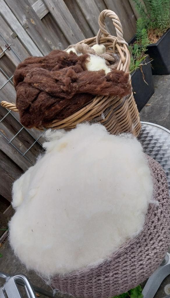 wol direct van het schaap, Ophalen, Zo goed als nieuw, Breien of Haken, Wol of Garen