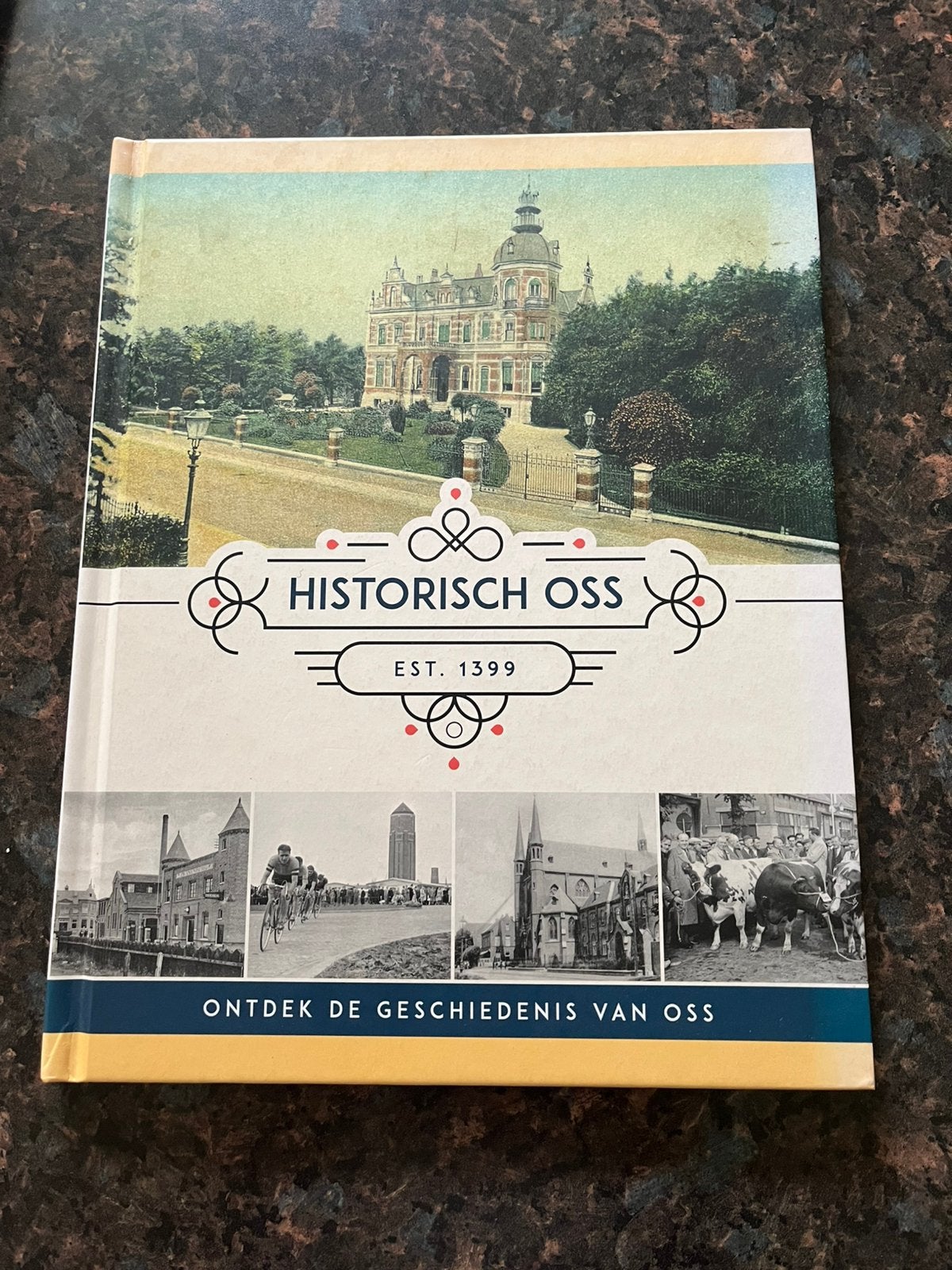 Historisch Oss, Boeken, Ophalen of Verzenden, 19e eeuw, Zo goed als nieuw
