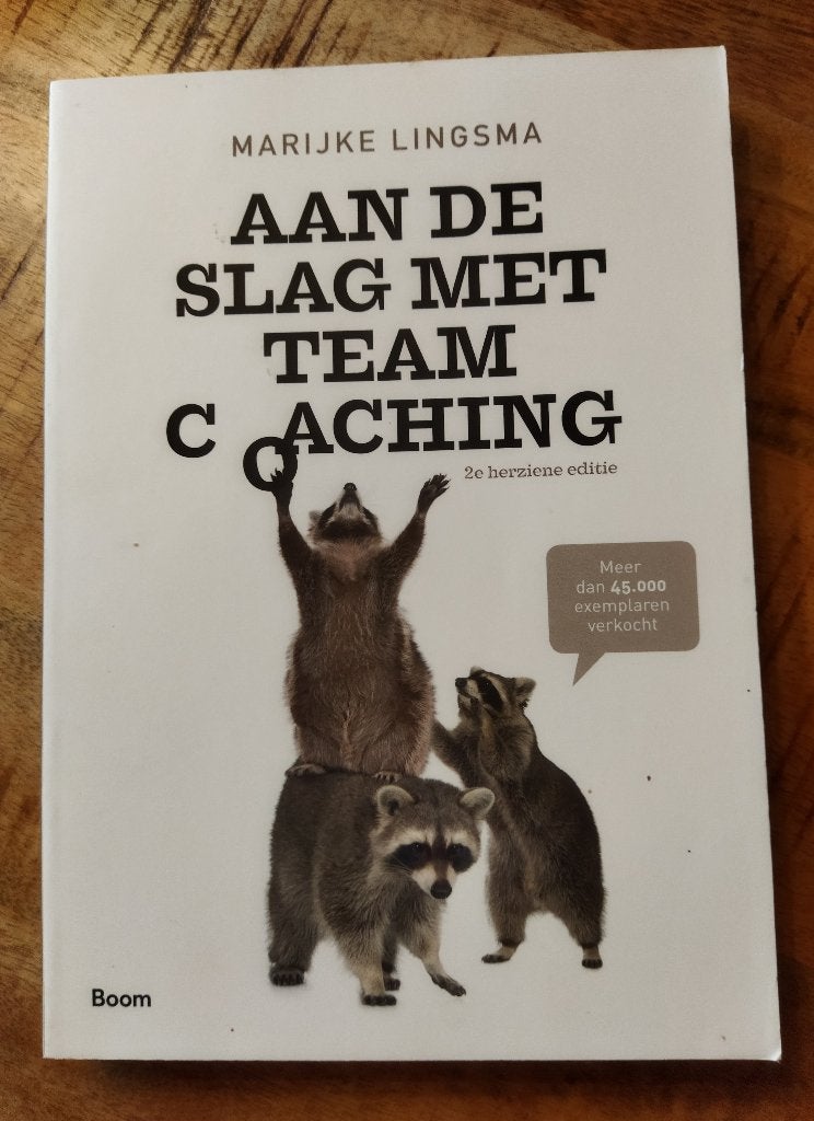 Aan De Slag Met Teamcoaching, Boeken, Marijke Lingsma, Zo goed als nieuw, Alpha, HBO