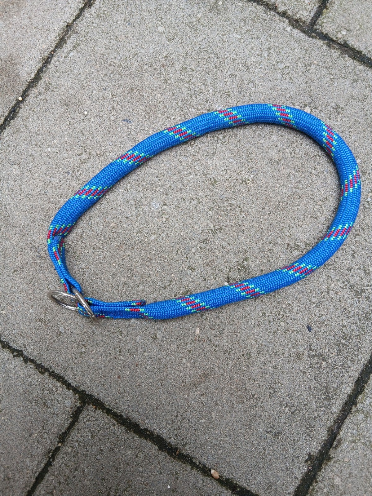 Sliphalsband 55 CM, Dieren en Toebehoren, Ophalen of Verzenden