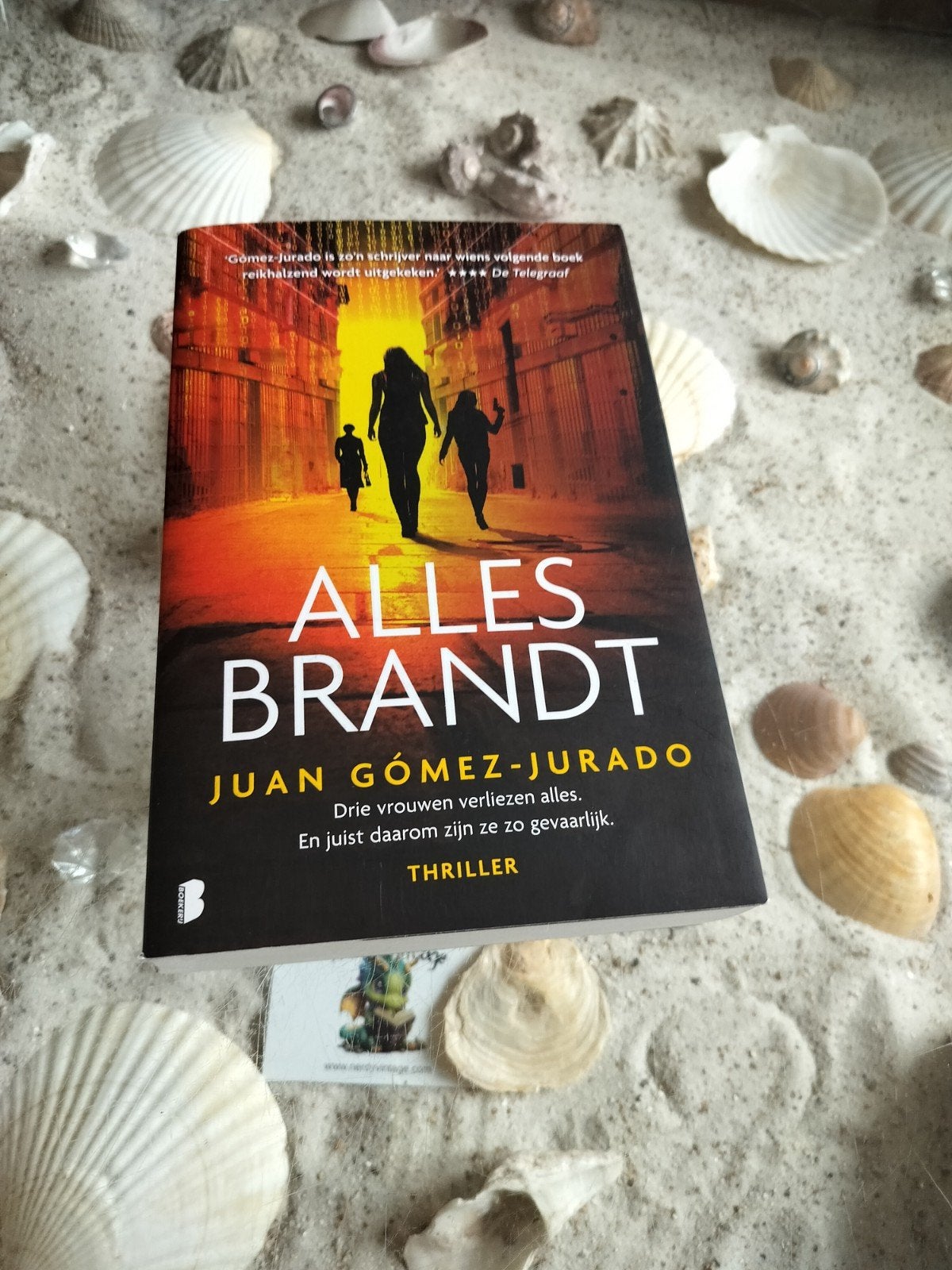 Juan Gómez-Jurado - Alles brandt, Boeken, Gelezen, Ophalen of Verzenden, Juan Gómez-Jurado
