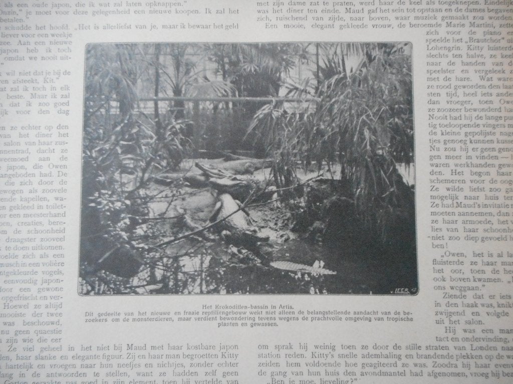 Artis. Krokodillen-bassin. 1911., Ophalen of Verzenden, Voor 1920, Nederland, Knipsel(s)