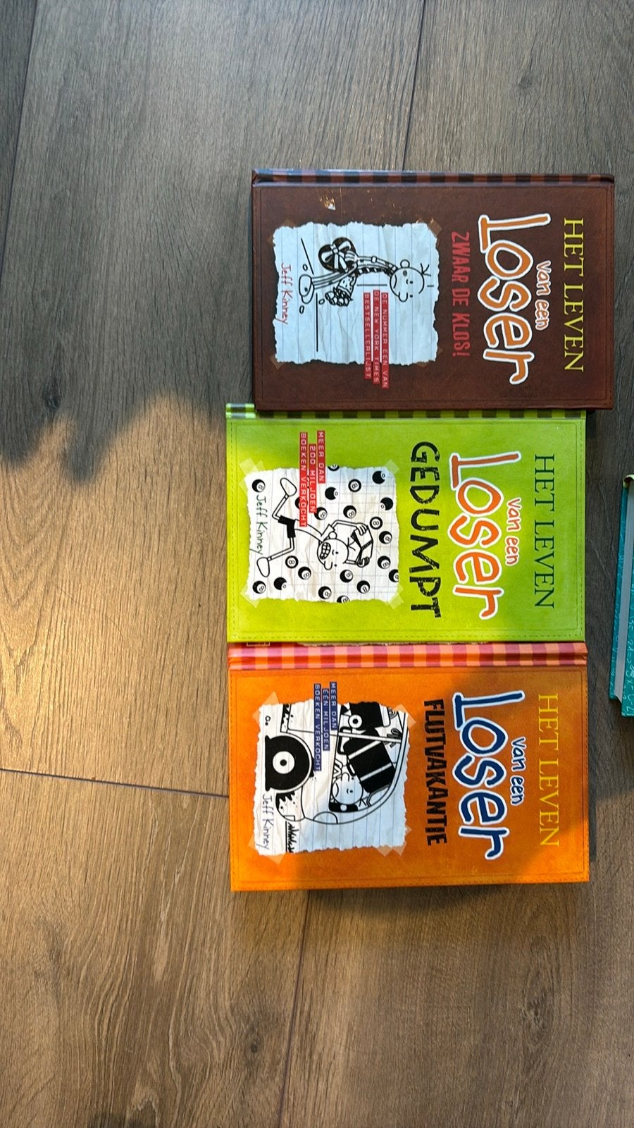 Het Leven van een Loser - boek 1 t/m 12, Boeken, Kinderboeken | Jeugd | 10 tot 12 jaar, Gelezen, Fictie, Ophalen of Verzenden