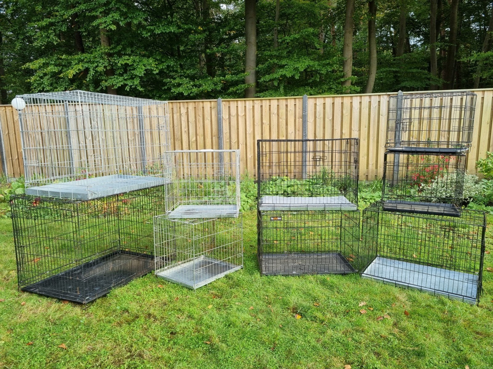 Grote collectie hondenbenches ! Uitzoeken - klein tot GROOT!, Ophalen, Zo goed als nieuw