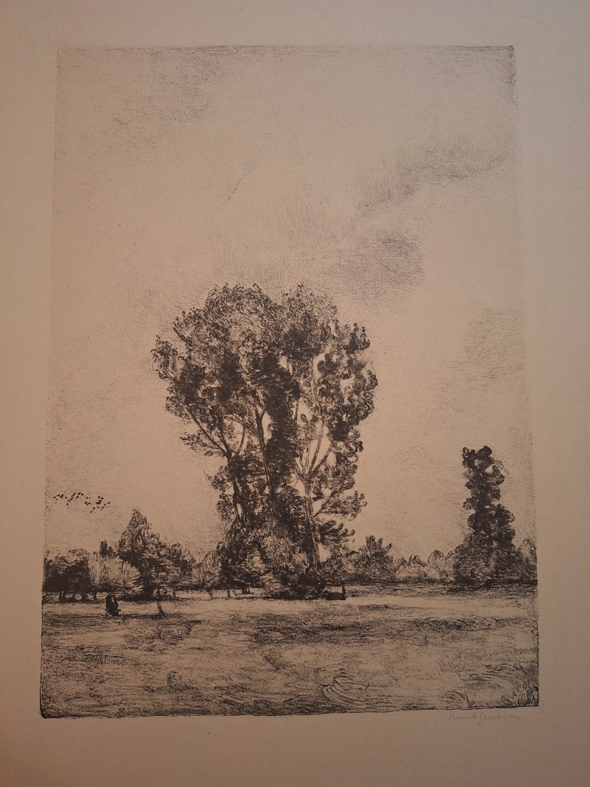Lithografie: Parkgezicht, onduidelijk gesigneerd, Ophalen of Verzenden, Landschap, Lithografie, Gesigneerd
